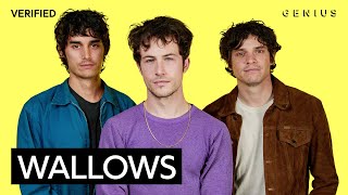 Wallows "Your Apartment" Official Lyrics & Meaning | Genius Verified