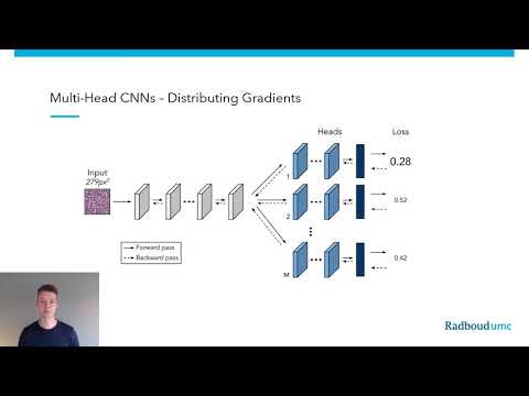 Efficient Out-of-Distribution Detection