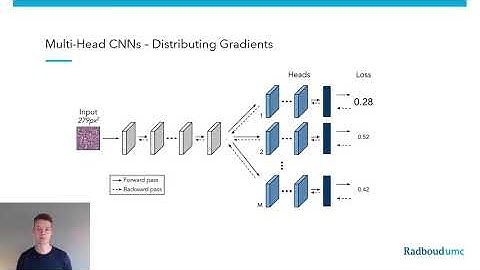 Efficient Out-of-Distribution Detection in Digital Pathology Using Multi-Head CNN | MIDL 2020