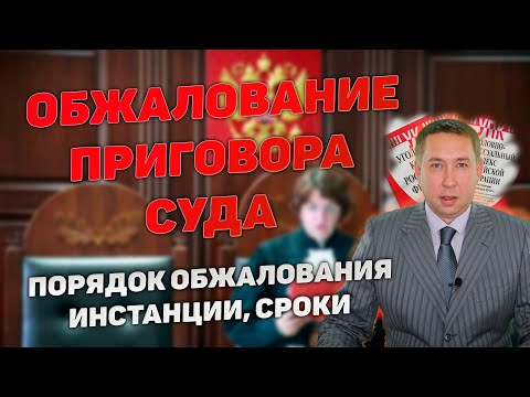 Порядок обжалования приговора суда по уголовному делу. Апелляция, кассация, надзор. Порядок и сроки