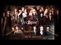 .trailer pagina twilighters pyp