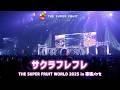 THE SUPER FRUIT - サクラフレフレ［Live from THE SUPER FRUIT WORLD 2025 in 幕張メッセ］