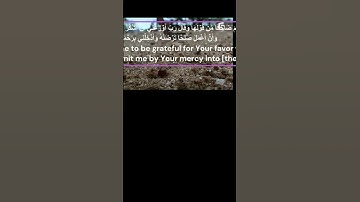 ترجمة معاني القرآن الكريم   _الترجمة الإنجليزية _  Surah An Naml ‐ آية: 18  _ آية: 19