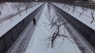 "Свидетели любви", трейлер. Реж. Наталия Гугуева, 2018 "Свидетели любви", трейлер. Реж. Наталия Гугуева, 2018