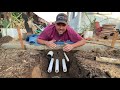 How to Install Irrigation & Drain Pipes Under Walkways or Driveways
