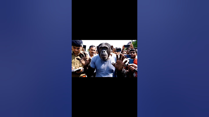 Gari thuk gayi 😢| #aimonkeyvlog #ai