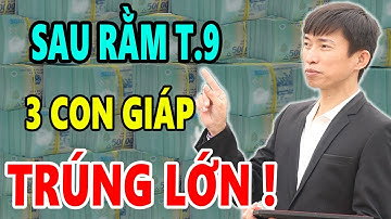 TRÚNG SỐ HOÀI! Sau Rằm Tháng 9 ÂL Chúc Mừng 3 Con Giáp THẦN TÀI TIẾP TỤC TRÚNG SỐ ĐỘC ĐẮC CỰC GIÀU
