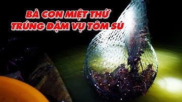 Bà con huyện An Biên, Kiên Giang trúng đậm vụ tôm sú
