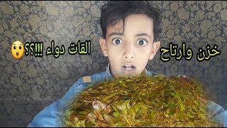 فوائد القات 🤔 | معلومات اول مرة بتسمعها عن القات !!😱