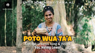 HELMY LEWAR_LAGU MAUMERE_ TANA AI || POTO WUA TA'A || Cipt.Bpk.Urbanus Ajing & Hestro