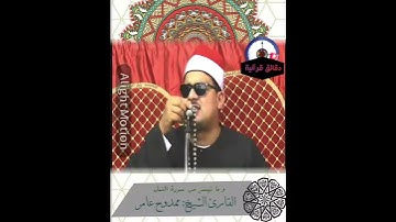 تلاوة مميزة من سورة النمل / الشيخ ممدوح عامر  واطول نفس تسمعة