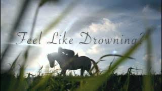 .Melody of the Wild Dance.