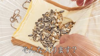 シマリスまめたの貯食の仕方が変化球すぎた