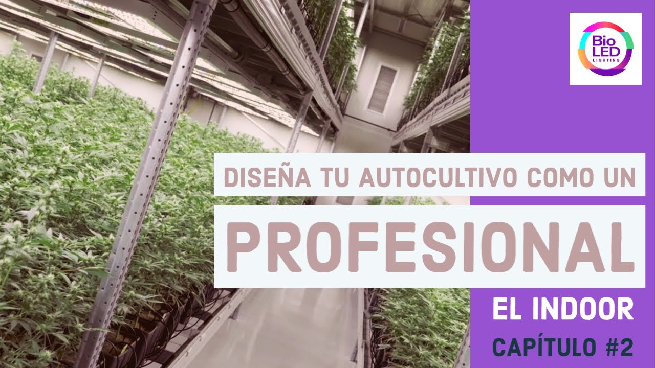 Diseña tu sala para cultivar cannabis como un profesional - EL INDOOR