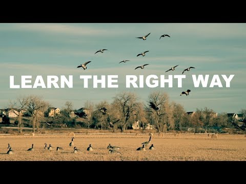 Video: How To Lure Geese