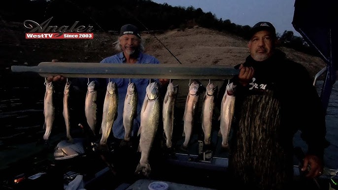 How to fish for trout at night 