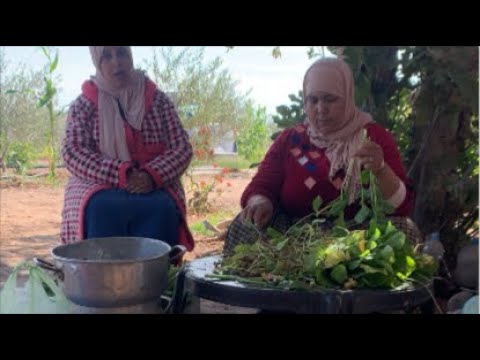 اليوم مباشرة من البادية كسكوس أفراس مع الكرنب