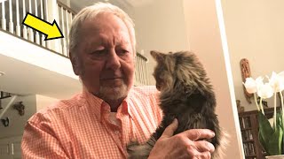 What Happens Next Will Melt Your Heart: Old Man's Surprising Bond With Cat!....