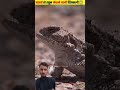 Horned Lizard Bleeds To Survive #ytshorts #animals #birds #wildlife #allah