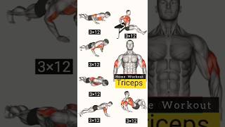 Tricep Home Workout  ??  shorts viral trending gym fitness