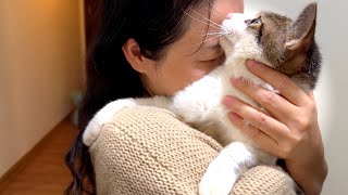 被人類傷害過的貓，害怕男人，女鄰居常來抱他，他又想交朋友了｜ 西樹 Xishu&Cats by 西樹 Xishu&Cats 10,883 views 4 months ago 8 minutes, 22 seconds