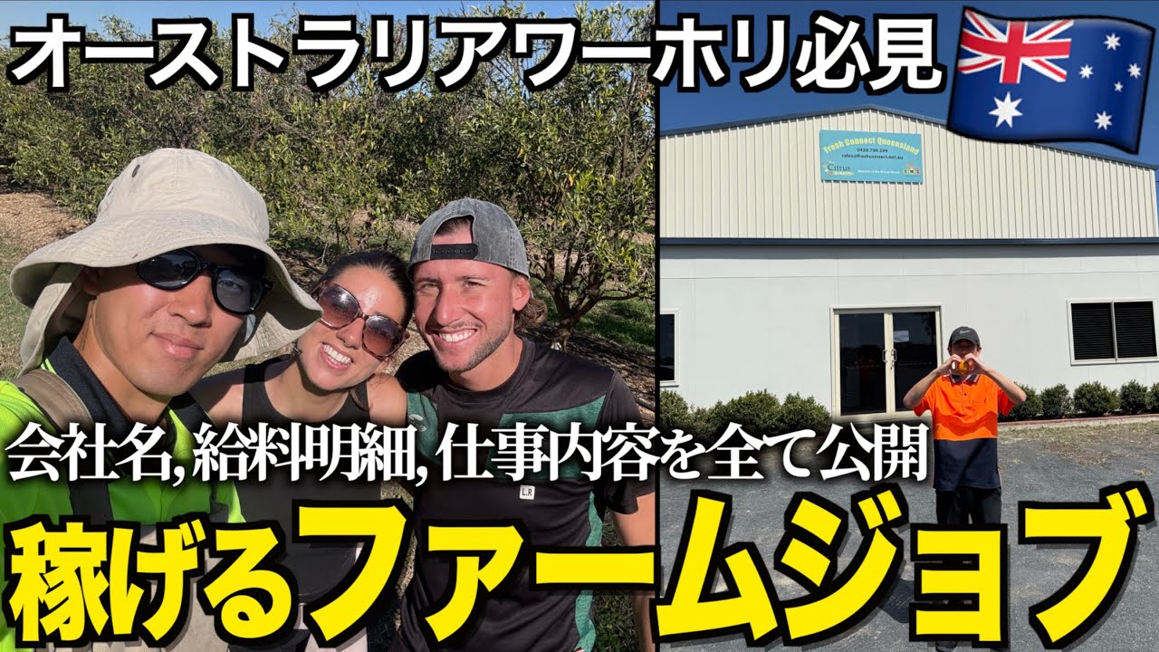 【ワーホリ】ファームジョブで月収50万超え！めちゃ稼げるオーストラリアの給料はこんな感じ