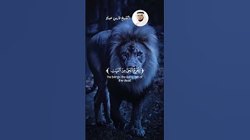 الشيخ فارس عباد #سورة_الروم #explore #قرآن #لايك #قران_كريم #قران_راحة_نفسية  #اكسبلور