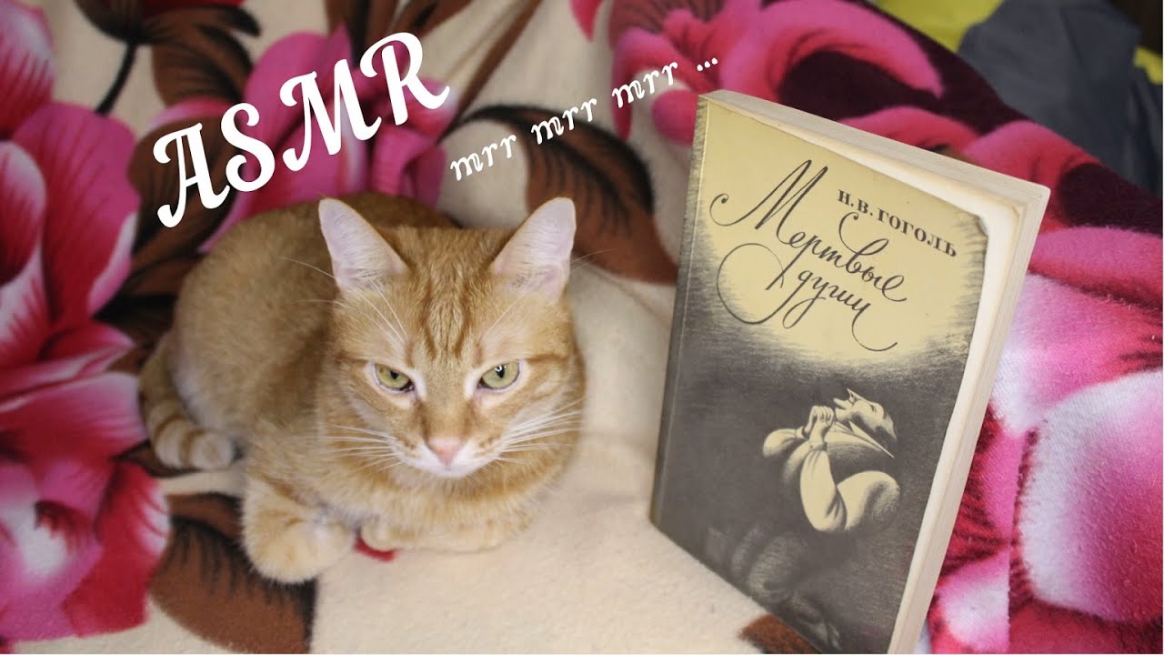 АСМР Помещица Коробочка читает поэму 