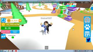 All Working Code Magnet Simulator