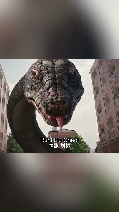 👮‍♂️🐍😱Tiny Guard Cornered by Colossal Serpent!| Rising Boas in a Girl's School | YOUKU MONSTER MOVIE