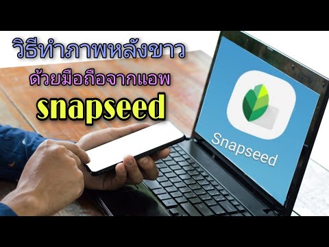วิธีทำภาพหลังขาวด้วยมือถือจาก app snapseed แบบง่ายๆEp1