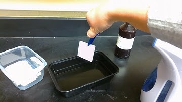 Lifting Prints with Ninhydrin