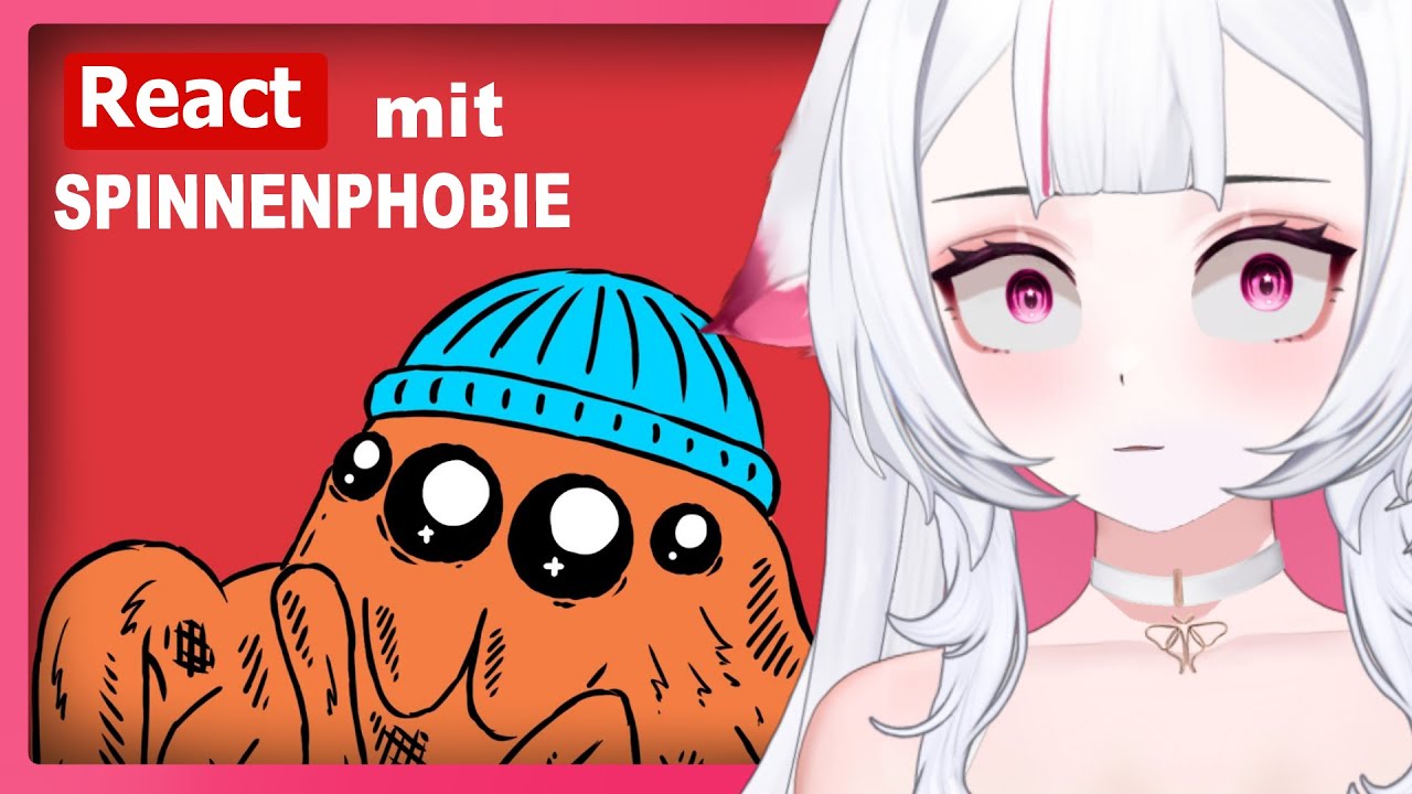 Vielleicht ein Video über Spinnen | Moki React