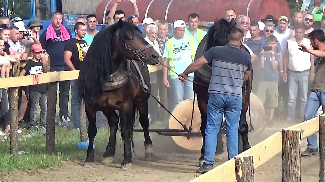 PRVA  ŠTRAPARIJADA ; ŽEPČE, NOVI ŠEHER