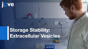 Evaluation Of Storage Stability Of Extracellular Vesicles l Protocol Preview