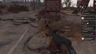 Fallout 4. 003 - Накатил пару модов, встретил собаку, не сдох от врагов ... всё связано.