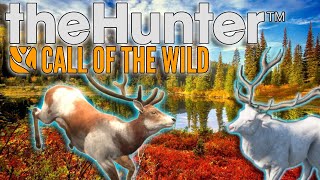 PIEBALD AND ALBINO RED DEER!!! WHAT IS HAPPENING!!! - The Hunter Call Of The Wild