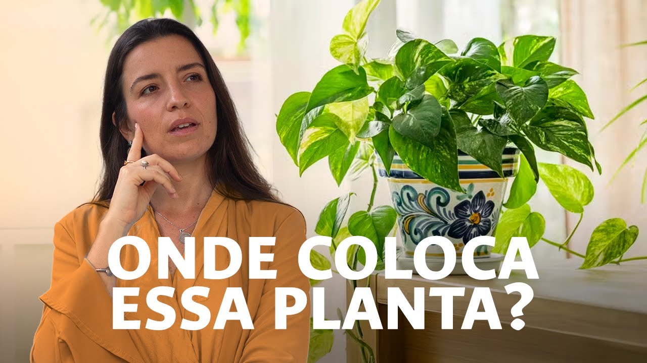 O Poder das Plantas para Atrair Abundância na Sua Casa