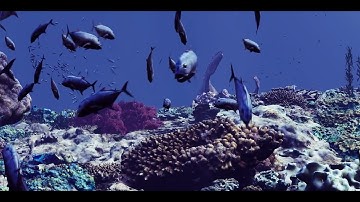 Unreal Engine realistic ocean environment