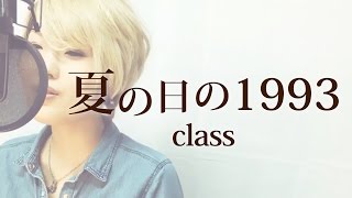 Video thumbnail of "【065】夏の日の1993/class (歌詞付き) covered by SKYzART"