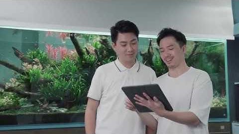 Home Aquarium Automation System by Smart Aqua, set up by Life Aqua Hong Kong