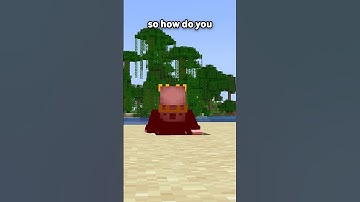 The "Actual" Rarest Death Message In Minecraft...
