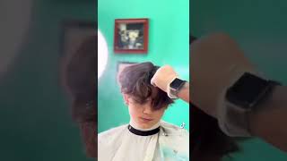 Middle part or book style cut