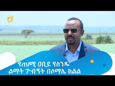 የጠ/ሚ ዐቢይ የስንዴ ልማት ጉብኝት በሶማሌ ክልል