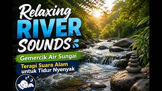 Relaxing River Sounds,Gemercik Air Aquarium Ikan, Terapi Suara Alam untuk Tidur Nyenyak