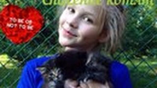 Спасение котят 🐱🆘 Спасение котят 🐱🆘