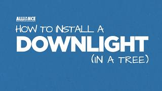 How to Install Downlighting in a Tree | Landscape Lighting Moonlighting Setup