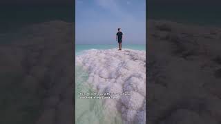 Dead Sea • Shorts