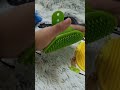 Video Image
