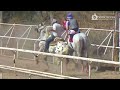 El Gran Danés Cuadra Viejito vs La Malinche Cuadra Kadafi Carril San Angel Lagos de Moreno Jal.